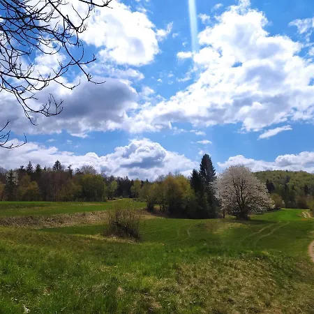 Hébergement de vacances Brunarica Biopark -log House Biopark
