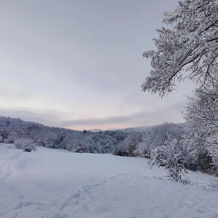 Hébergement de vacances Brunarica Biopark -log House Biopark *