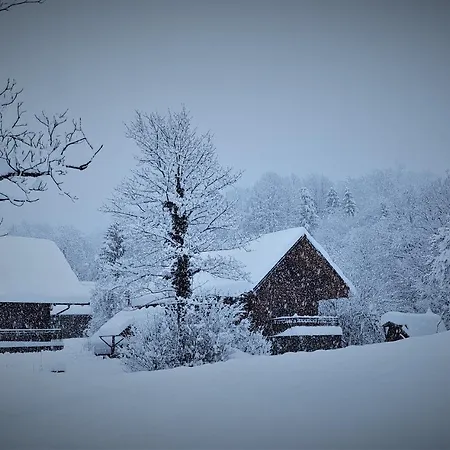 Brunarica Biopark -log House Biopark