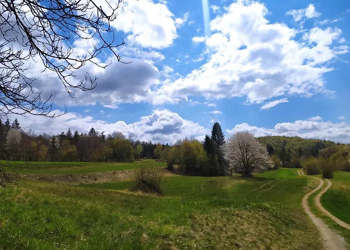 펜션 Brunarica Biopark -log House Biopark