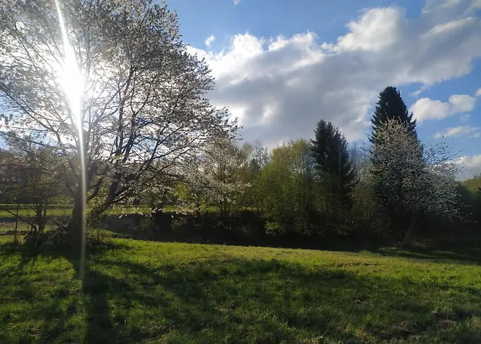 Brunarica Biopark -log House Biopark 펜션