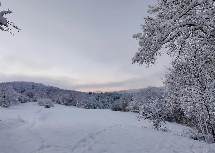 Vakantiehuis Brunarica Biopark -log House Biopark *