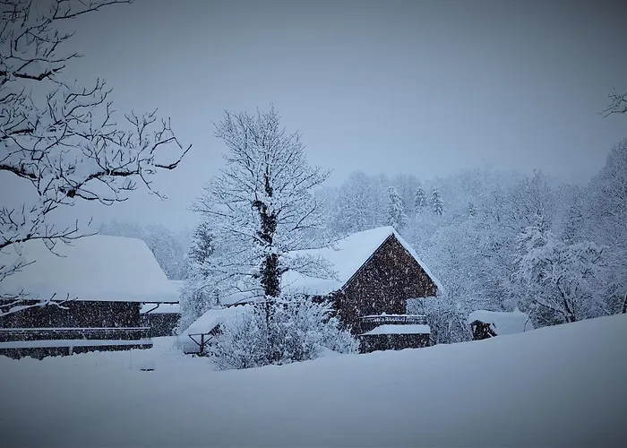 Brunarica Biopark -log House Biopark